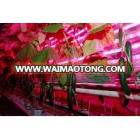 water proof led grow light bar, aluminum housing led grow lights 65w 1200mm with passive cooling